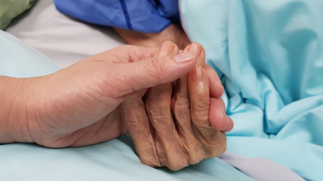 Euthanésie photo d'illustration