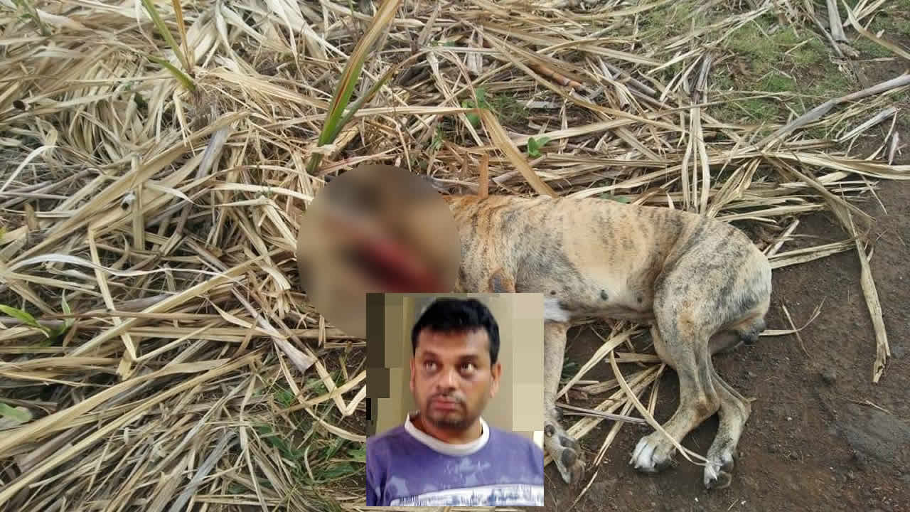 L’accusé Jeetsing G.