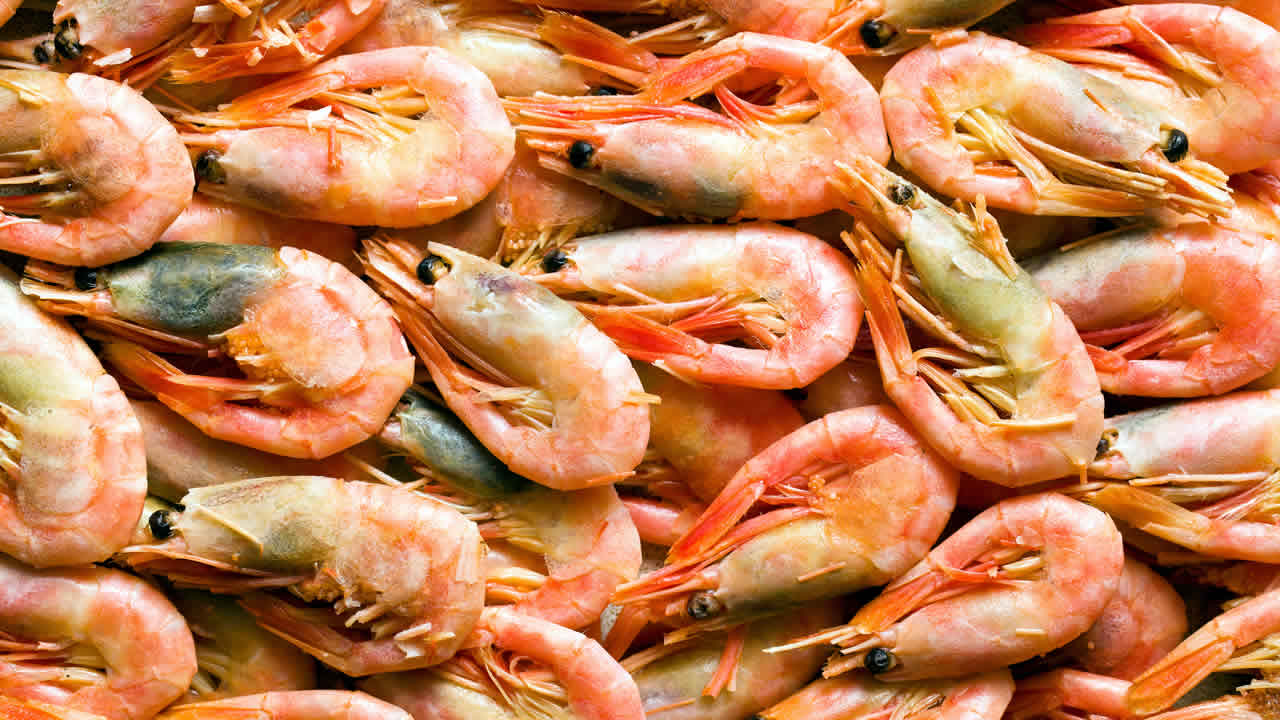 Crevettes