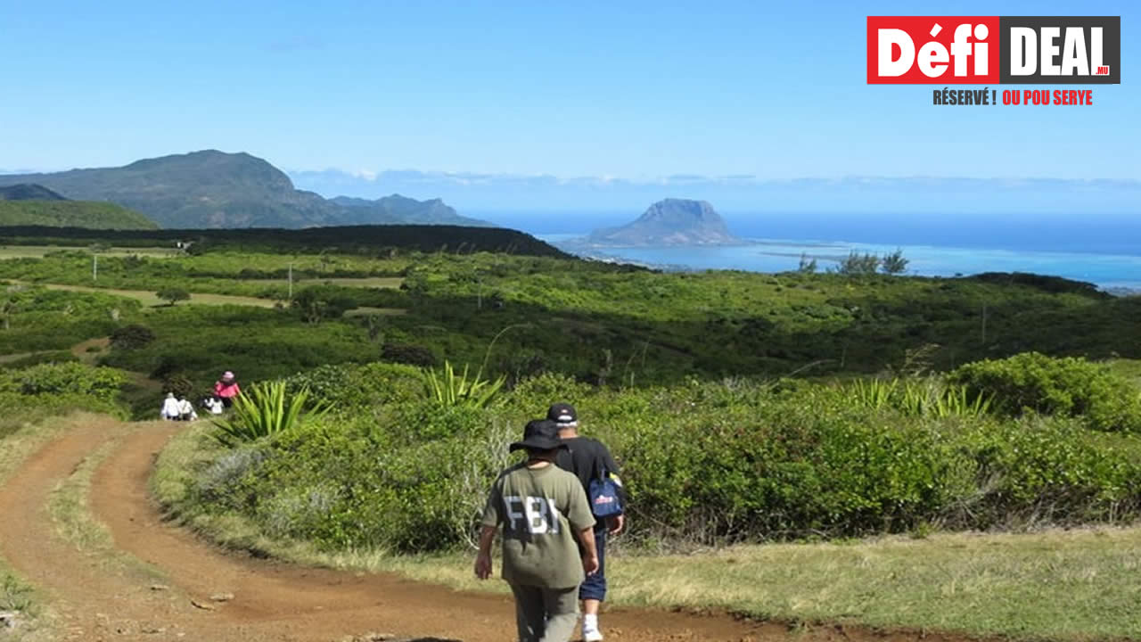 Randonnée au cœur de la nature