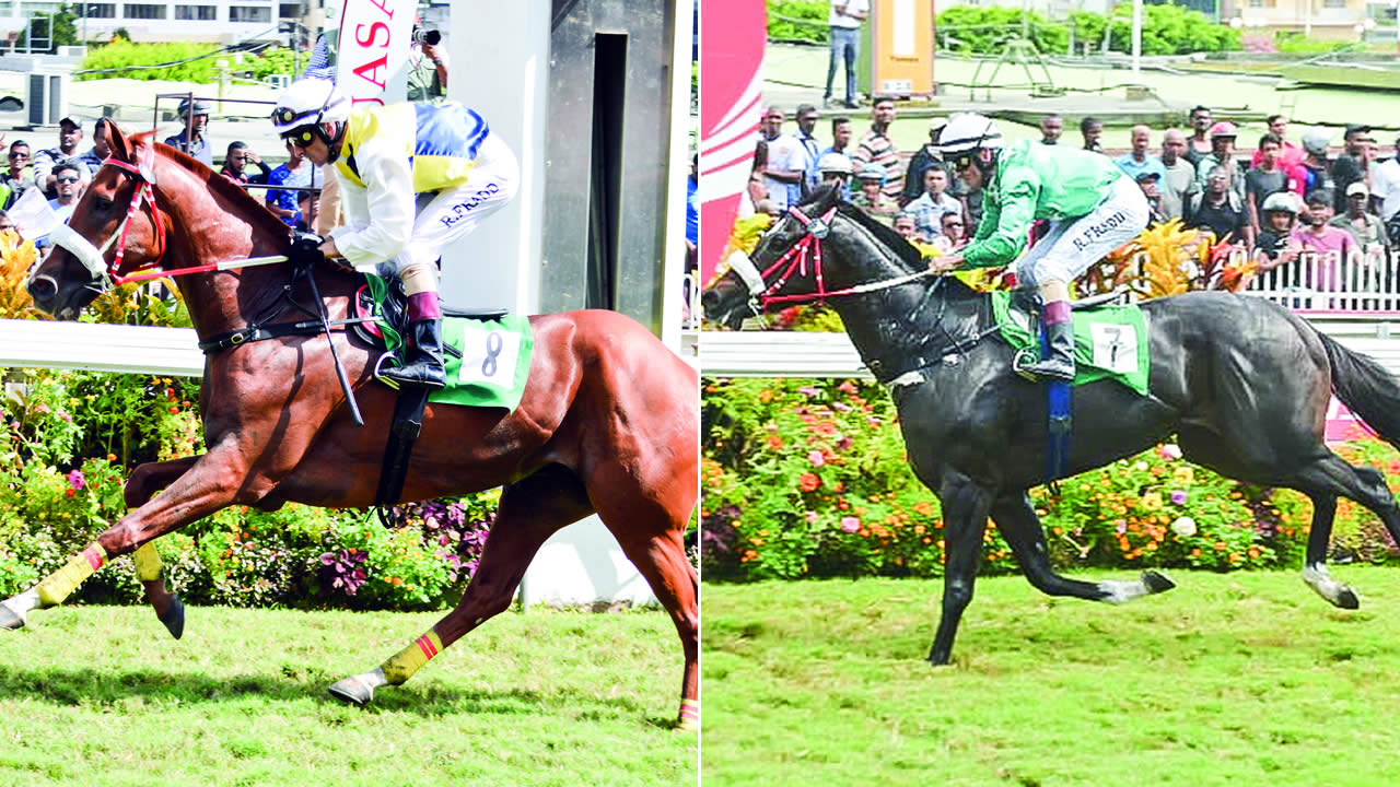 Maxamore  et Aspasra