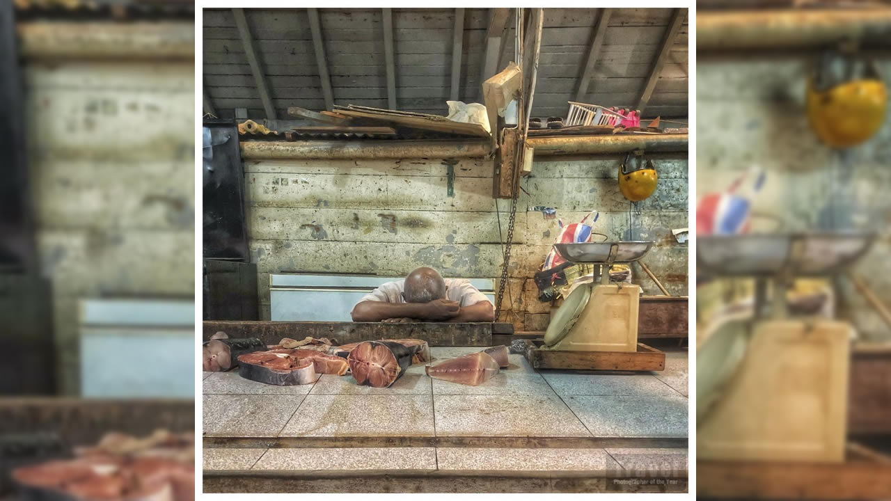 Une photo Made in Moris primée