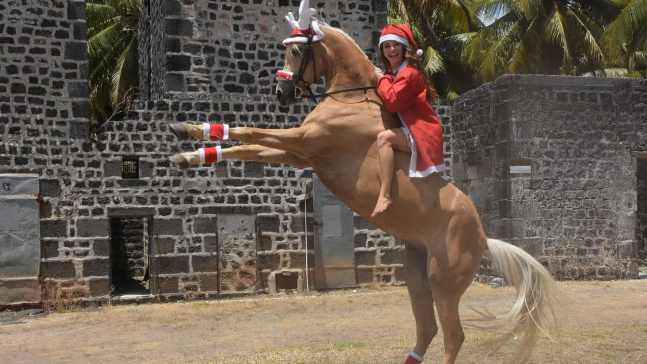 Noémie Barragan joue à Mère Noël avec Vinci, cheval du Maroc.