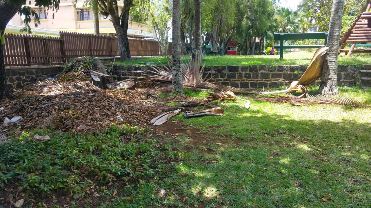 Entassement de feuilles ou de matériaux de construction dans l’enceinte du jardin.