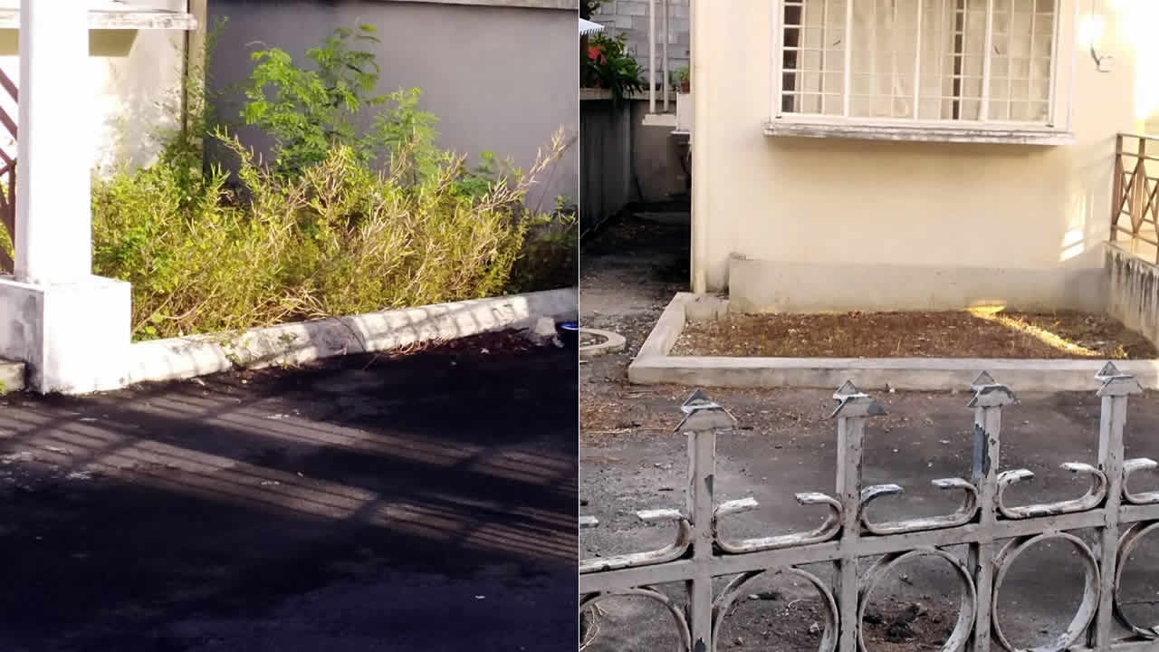 cour du bureau du Travail 