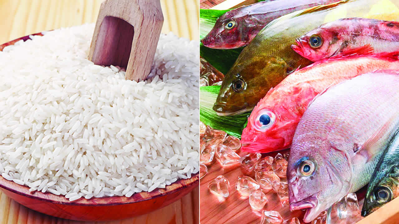 250518_rice_fish.jpg