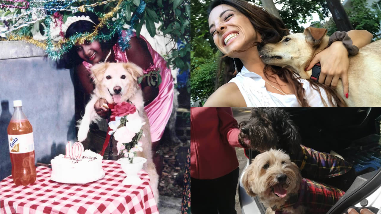 Pour l’amour du toutou