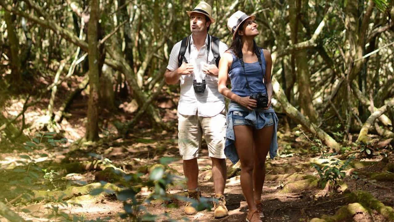 La réserve Frederica.