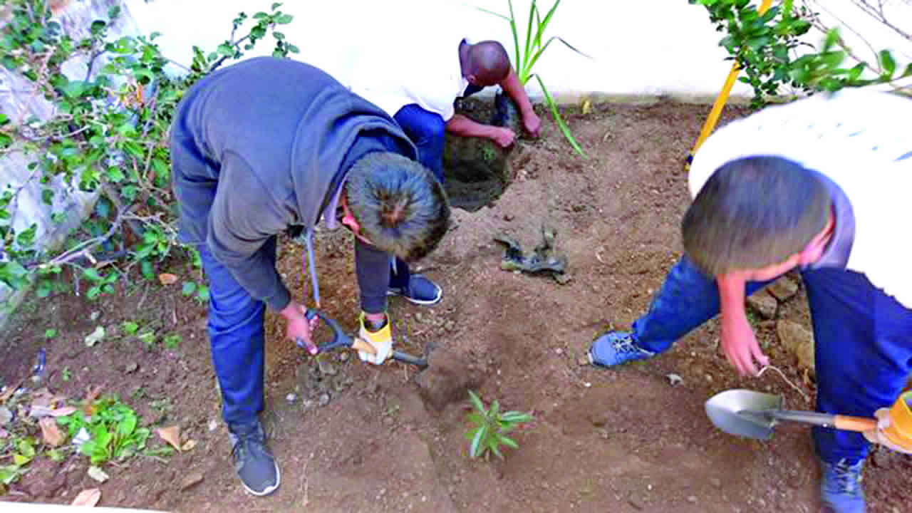 Dr James Burty David SSS