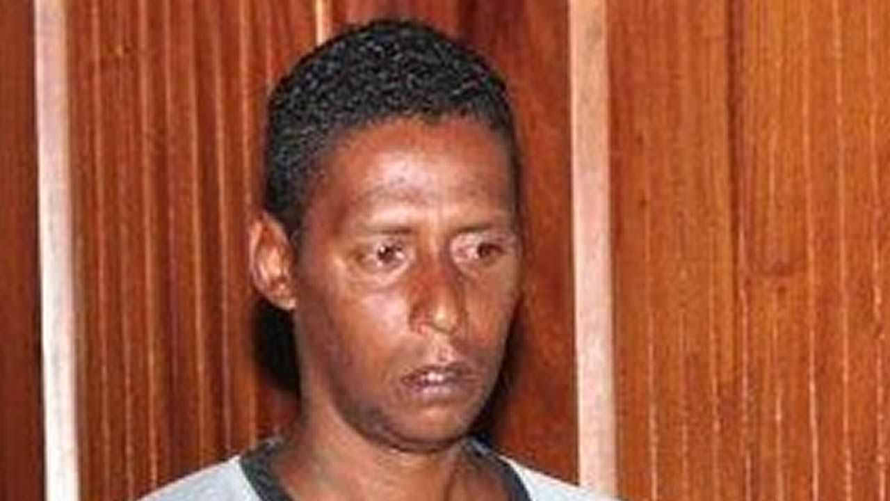 Thesy Steven Robertson