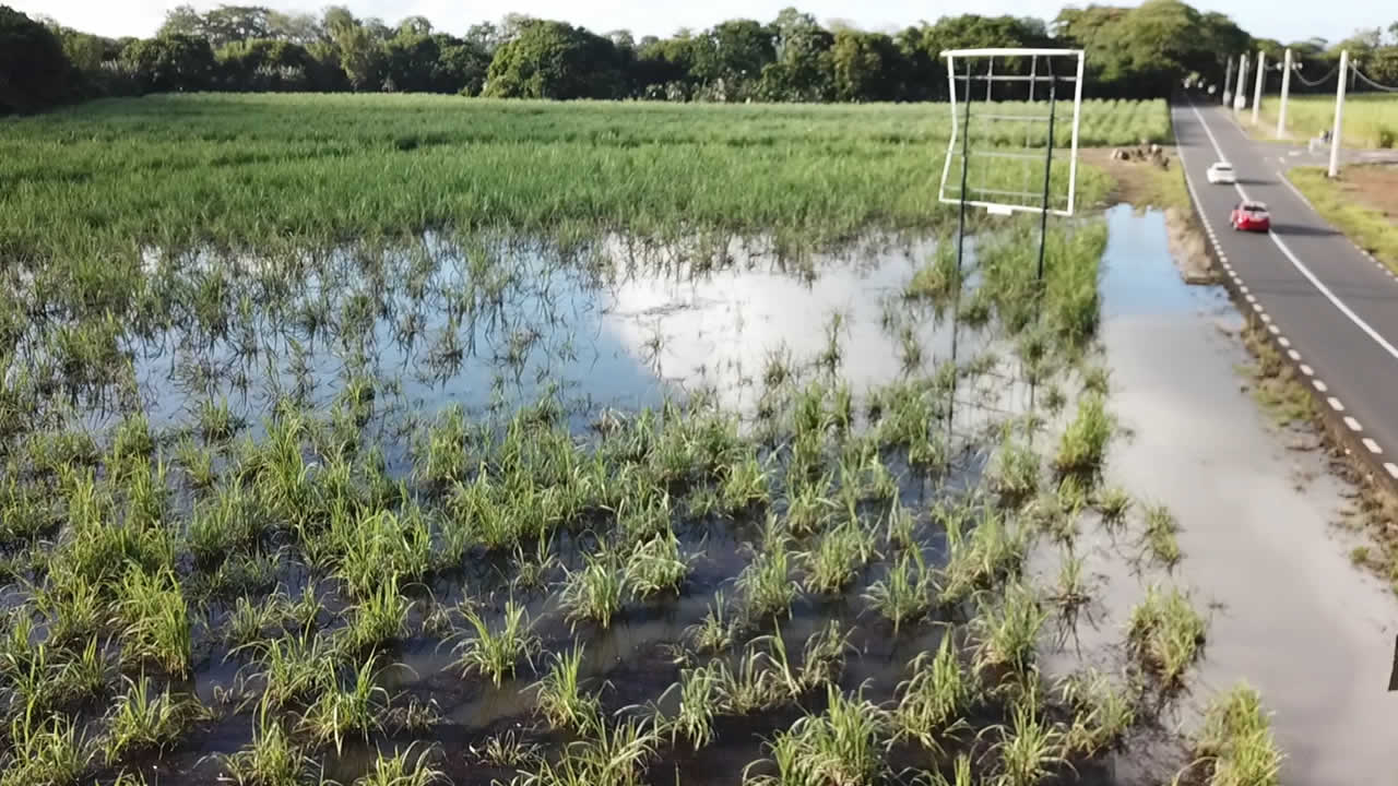 Les fertilisants dans les terres ont éte emportés par l'eau.