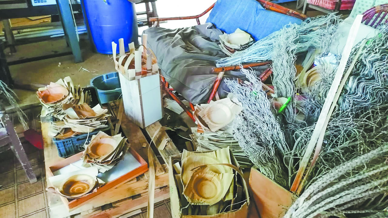 L’atelier vibre d’un désordre créatif : branches sculptées, feuilles tressées, fibres entrelacées...