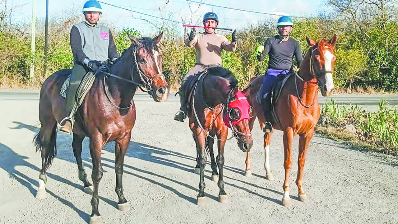 Au Sofia Ranch, à Plaine-des-Papayes, il partage sa passion et transmet son amour des chevaux.