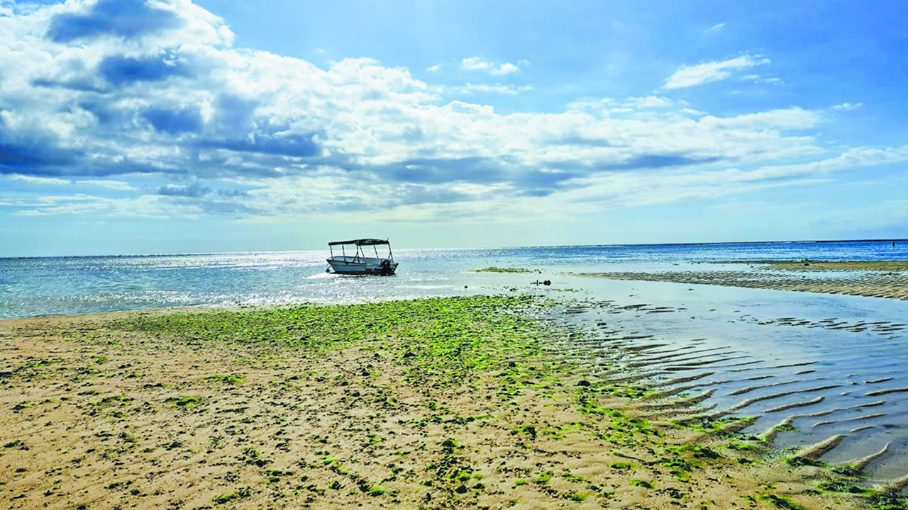 Une accélération brutale de l’érosion côtière est observée à Flic-en-Flac.