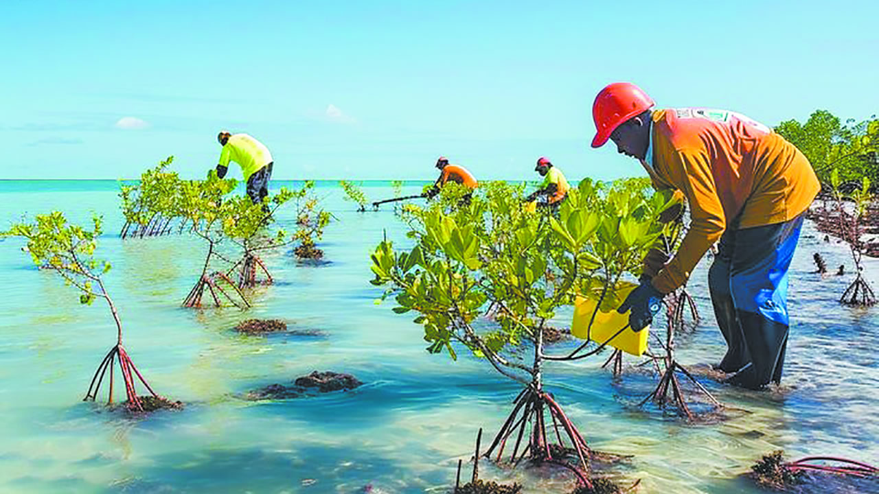 Une résilience écologique proactive est cruciale.