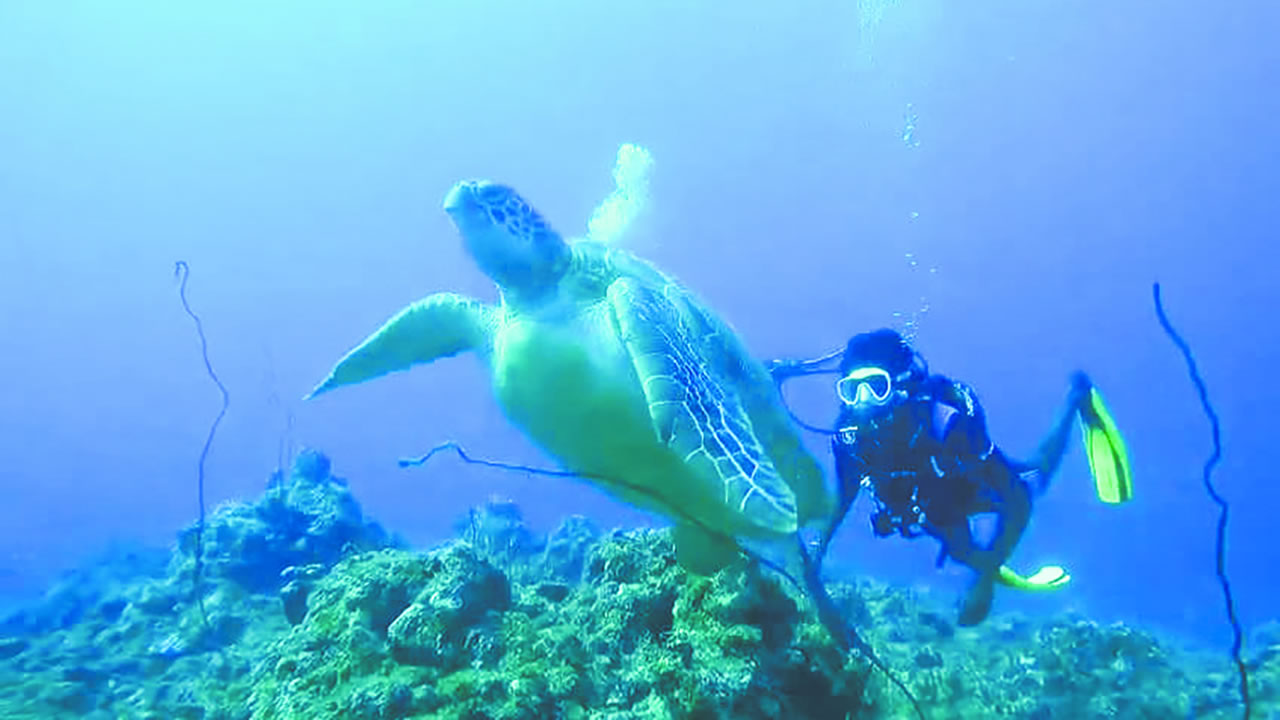 Le plongeur dénonce la pollution plastique sous l’eau.