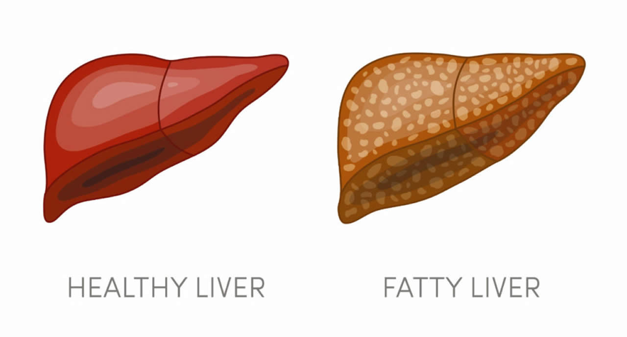 liver