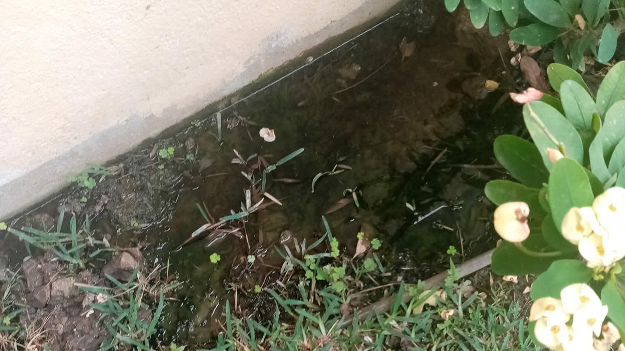 les eaux usées inondent les cours et sont stagnantes.