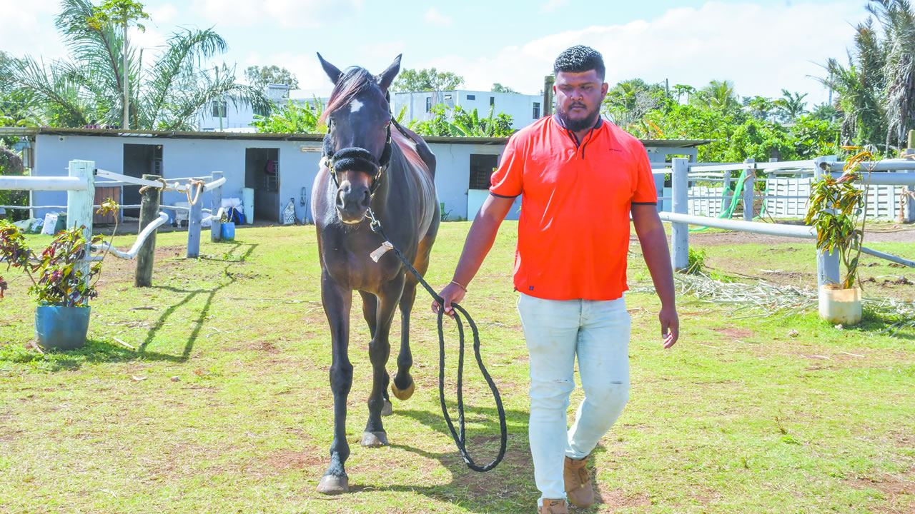 Yash Vikesh Jeebodh est passionné de chevaux depuis tout petit.