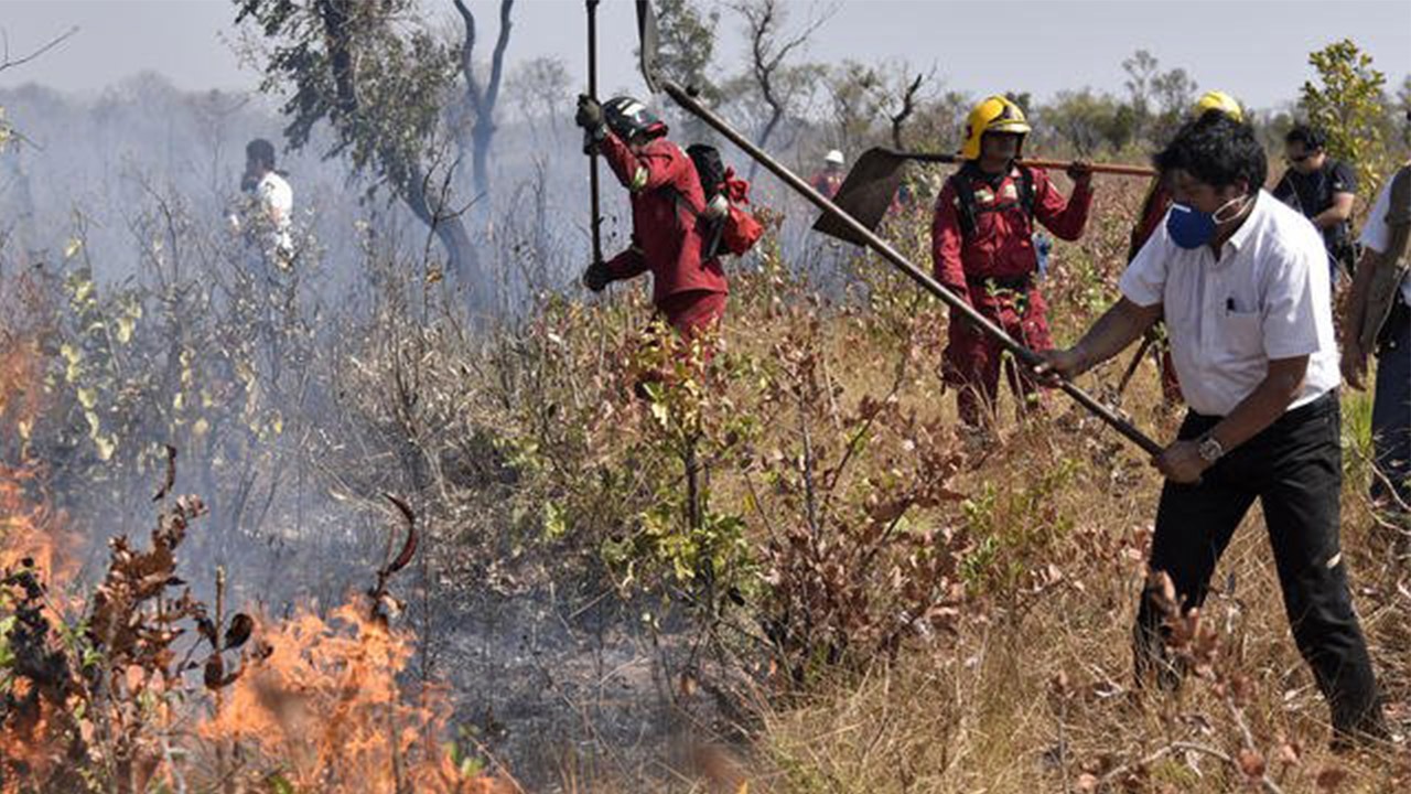 Le président bolivien, Evo Morales, a accompagné des pompiers pour combattre les flammes en pleine jungle