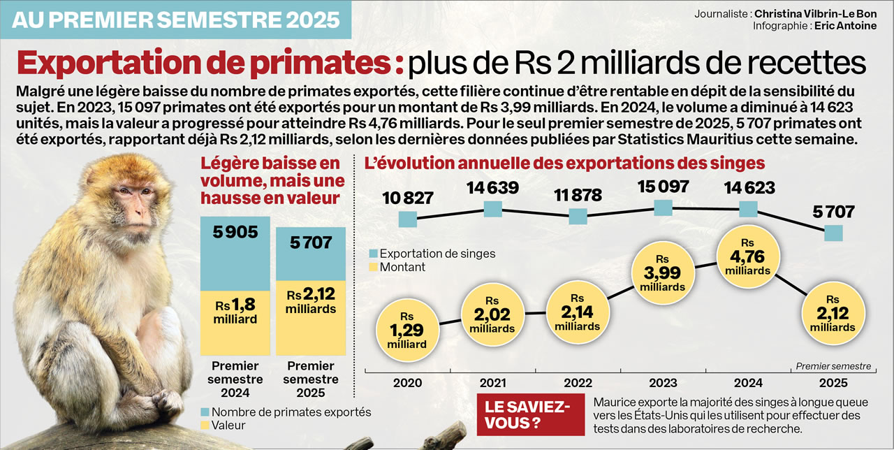 Exportation de primates