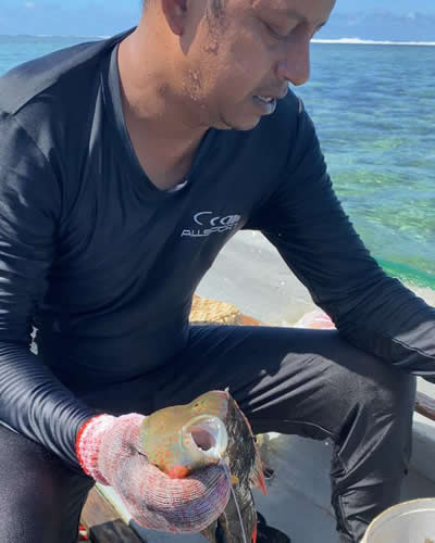 Le père de Mohesh, Vishal Narraina, est, lui, pêcheur.