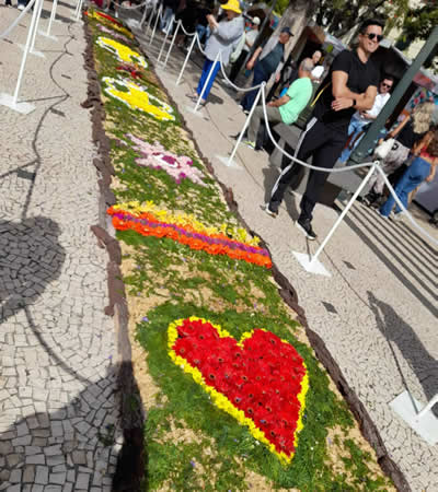 46 retraités ont vécu la croisière de leur vie : rires, émotions et souvenirs dans chaque escale.