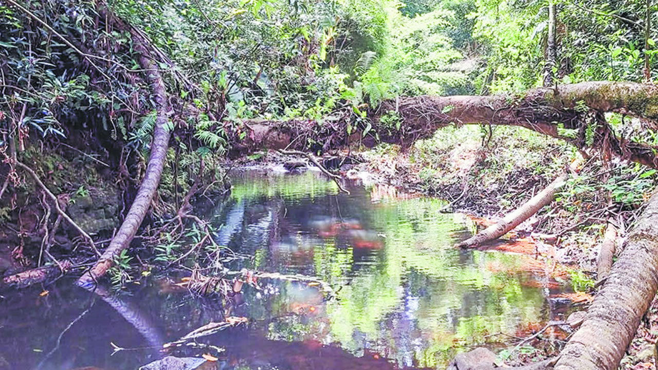 Il s’inspire de ce qu’il observe dans la nature, dans les forêts et les rivières, et le transpose en miniature.