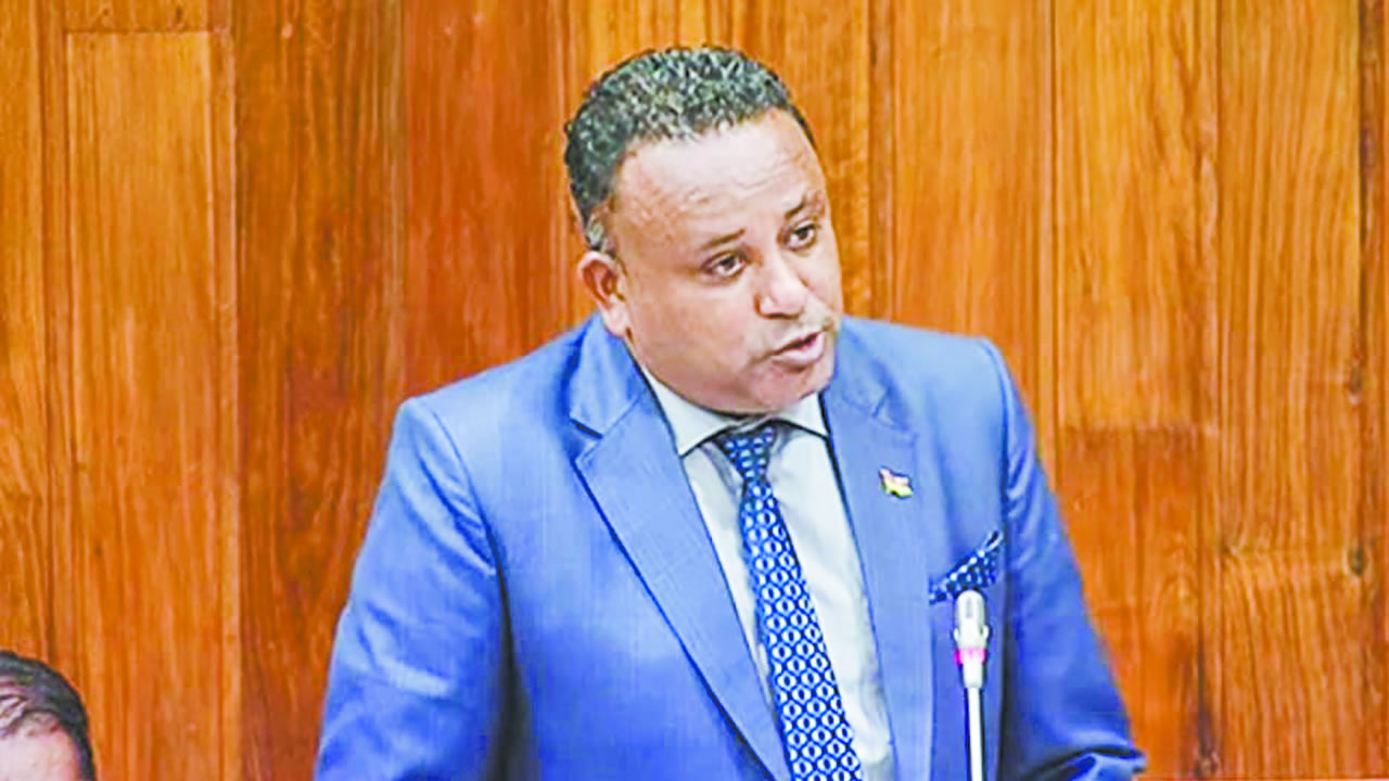 À l’Assemblée nationale, il se concentre notamment sur la justice sociale, l’emploi et le développement regional.