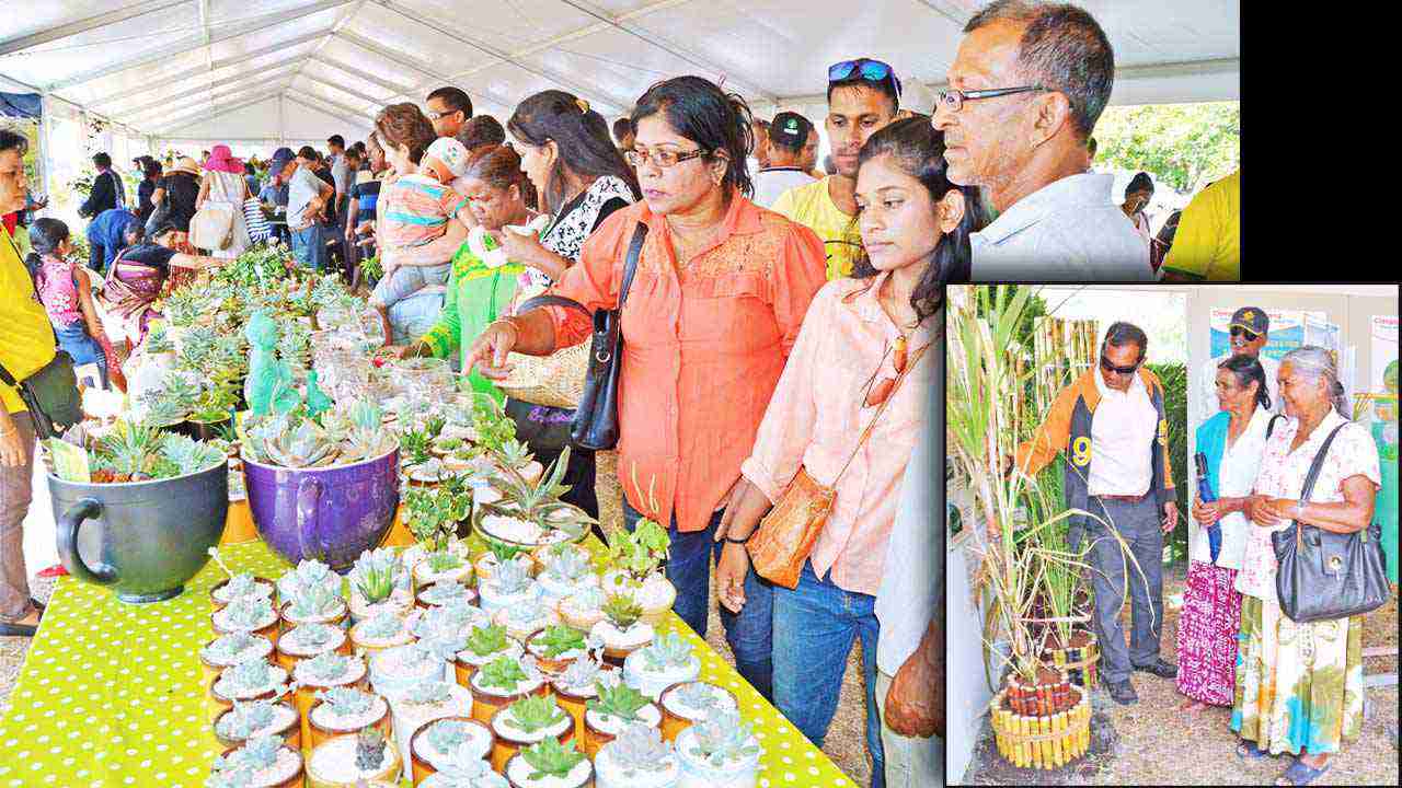 Salon de l’Agriculture: Head to Mahebourg for great deals this weekend