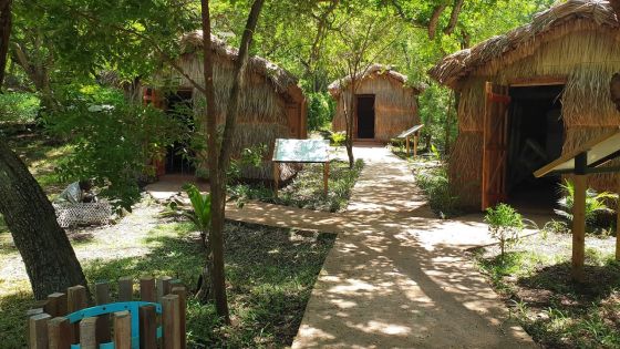 L’Open Air Musuem voit le jour à Trou-Chenille