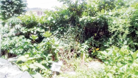 Depuis une dizaine d’années : elle vit à côté d’un terrain insalubre