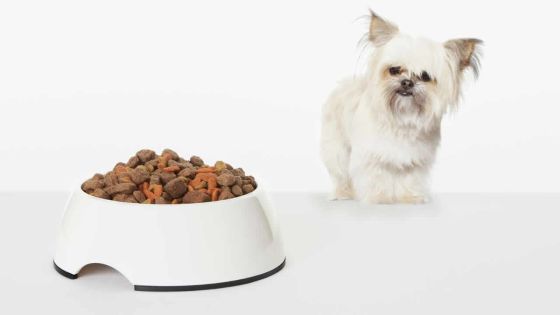 Production locale : aliments pour animaux, un marché en pleine évolution