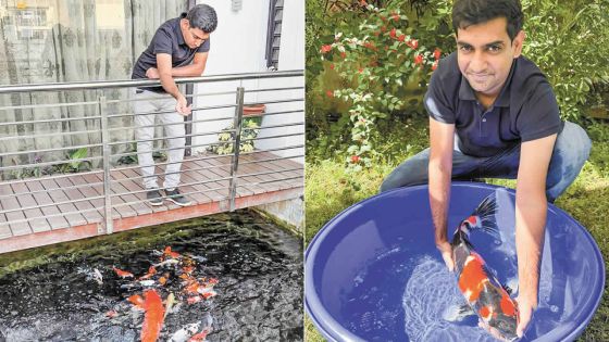 Nasif Jeetoo : dans les eaux vives de la passion