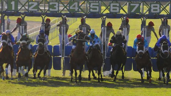 Clôture de la saison hippique 2015 en apothéose de dimanche