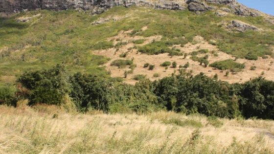 Gestion des terres de l’État : Une nouvelle entité créée d’ici deux semaines