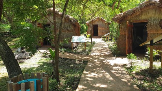 Esclavage : l’histoire se répète à l’Open Air Museum