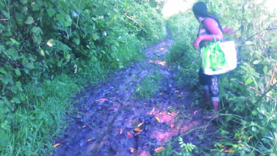 À Wooton : cinq enfants privés d’école à cause d’une culasse fêlée