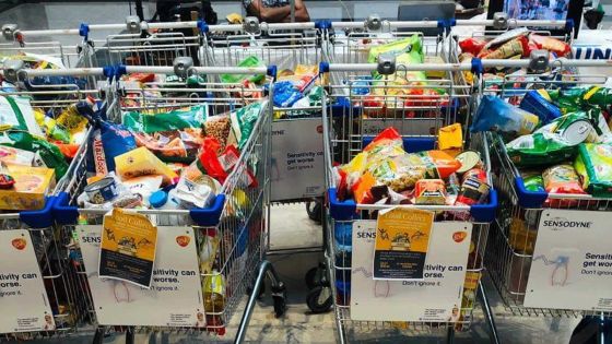 Young Activists Association : les jeunes organisent une collecte de vives pour des familles dans le besoin