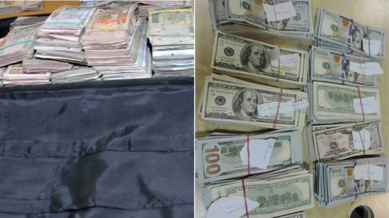 En partance pour Madagascar : un trafiquant présumé arrêté avec Rs 9 millions dans sa valise