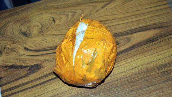 Roche-Bois : l'Adsu déterre Rs 19,3 millions d'héroïne