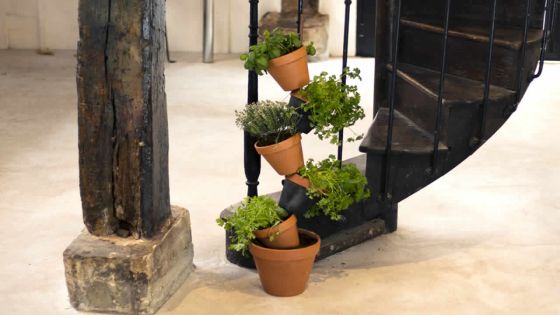À faire soi-même : réalisez un potager vertical
