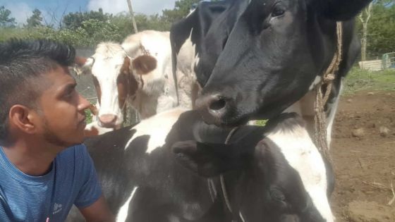 Emploi : diplômés et travailleurs manuels