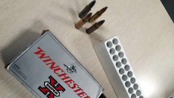 Des balles dans le sac d’un vétérinaire : un oubli qui lui coûte cher