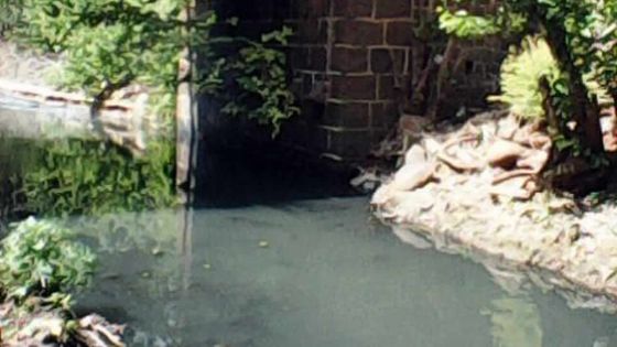 Baie-du-Tombeau : une eau nauséabonde déversée dans la rivière