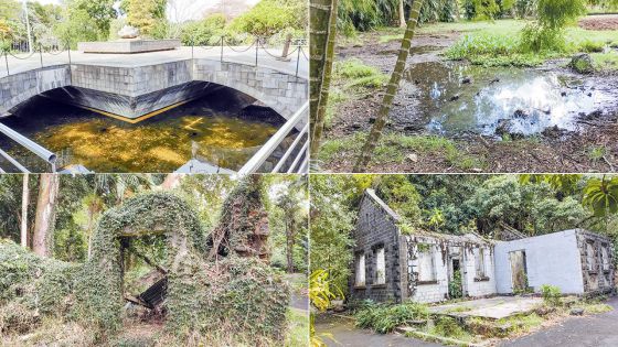 Jardin de Pamplemousses : à la recherche d’une beauté perdue…