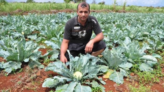 Approvisionnement d’eau : pertes substantielles de revenus pour les planteurs de légumes 