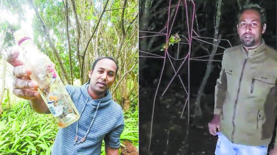 Vimal, le gardien des bonnes énergies