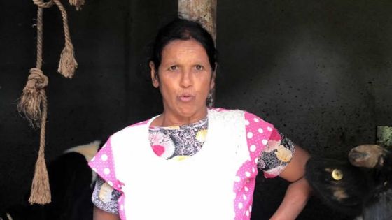 À Hollyrood : Seela ou l’amour du bovin