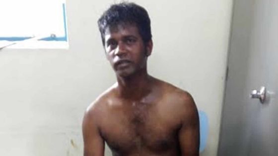 Série de vols à Phœnix : un récidiviste arrêté torse nu dans un champ de cannes